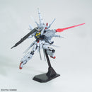 Providence Gundam (G.U.N.D.A.M Edition) | MG 1/100