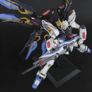 Strike Freedom Gundam | PG 1/60