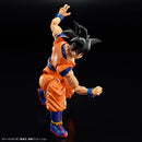 Son Goku (New Spec Ver.) | Figure-rise Standard
