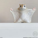 Popular Mammals | Tenori Friends 2