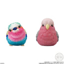 Birds | Tenori Friends 1