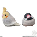 Birds | Tenori Friends 1