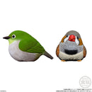 Feathered Friends | Tenori Friends 4