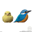 Feathered Friends | Tenori Friends 4