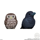 Feathered Friends | Tenori Friends 4