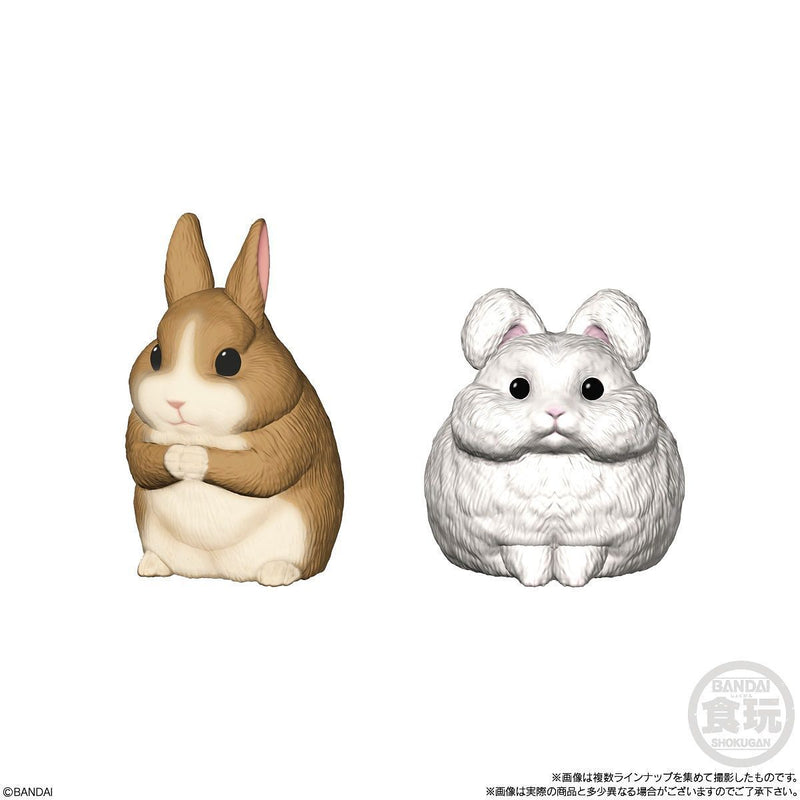 Small Animals | Tenori Friends 5