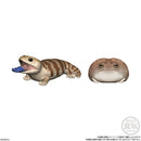 Reptiles & Amphibians | Tenori Friends 6