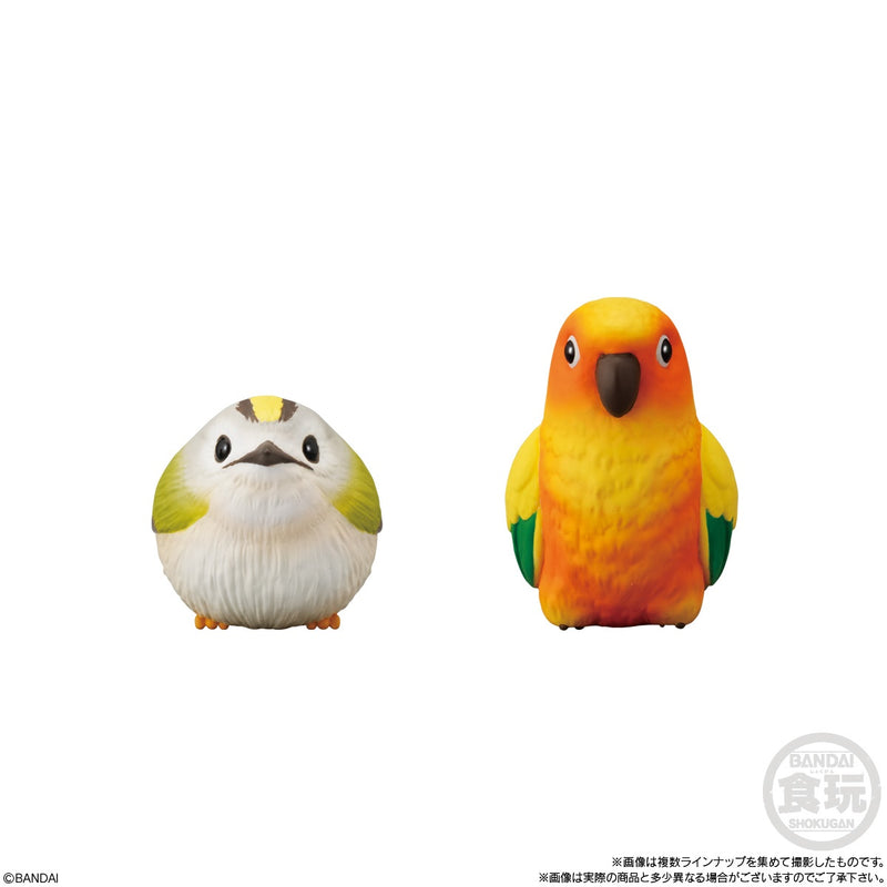 Feathered Friends | Tenori Friends 7