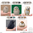 Feathered Friends | Tenori Friends 7