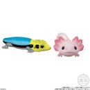 Reptiles & Amphibians | Tenori Friends 8