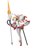 Strelitzia | Moderoid